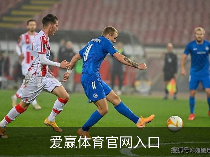 关于爱赢体育官网入口